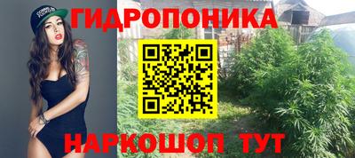спайс Бузулук