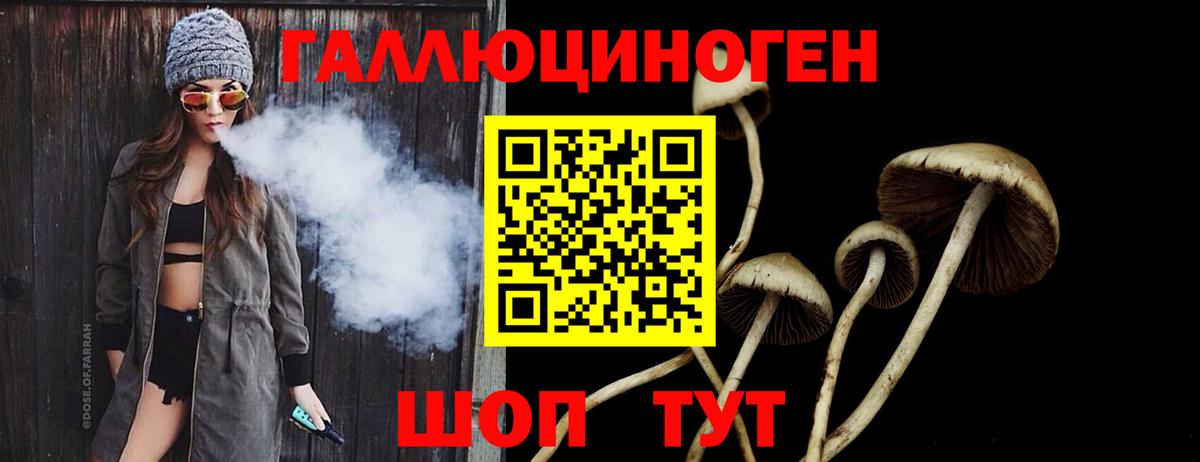 Псилоцибиновые грибы MAGIC MUSHROOMS Назарово